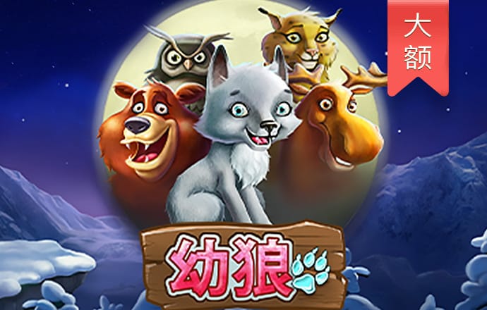 中欧体育kok下载